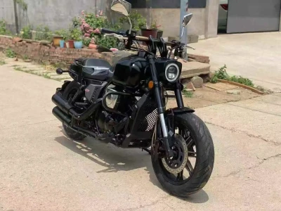Мотоцикл Harley-Davidson на заказ — миниатюра 4