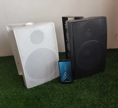 Колонка FM 308 60W