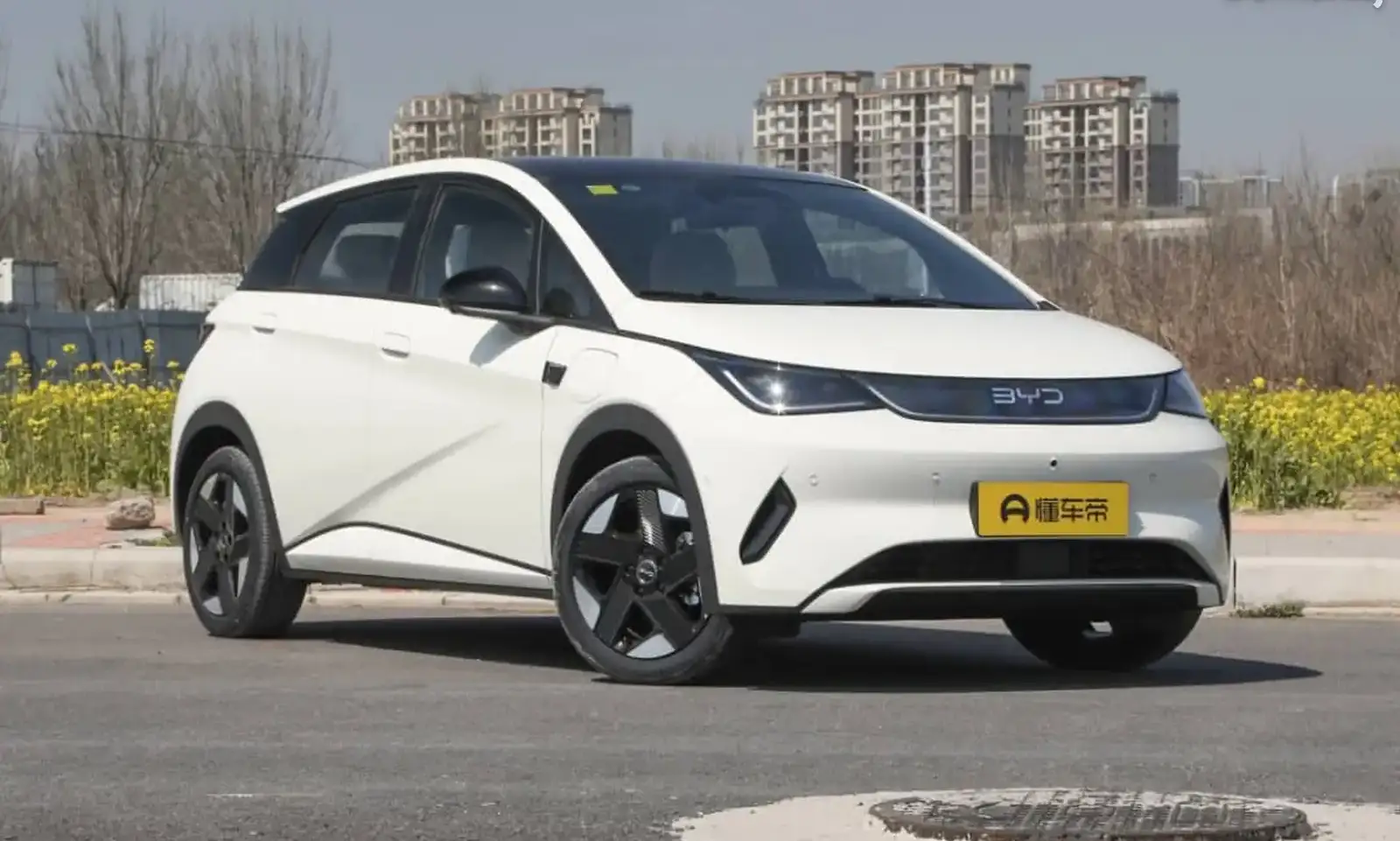 BYD Dolphin,