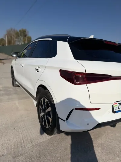 BYD — миниатюра 6
