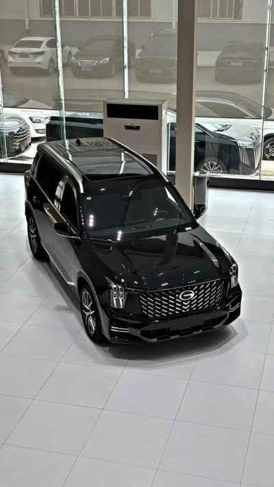 GAC Trumpchi GS8, 2025 на заказ — миниатюра 6