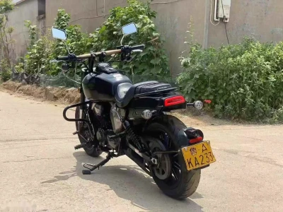Мотоцикл Harley-Davidson на заказ — миниатюра 4
