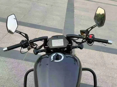 Harley Davidson 800 — миниатюра 7
